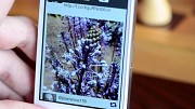 Mehrfokus-Fotos mit dem iPhone und iPad