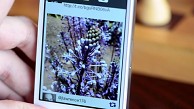 Mehrfokus-Fotos mit dem iPhone und iPad