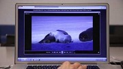 Otoy und Mozilla zeigen ORBX.js