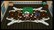 Animal Crossing Let's go to the City