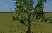 PhysX Apex Vegetation - Trailer von der GDC 2009