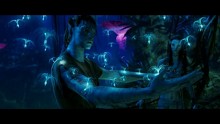 Avatar - Aufbruch nach Pandora - Kinotrailer