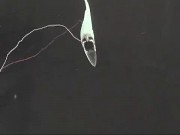 Roboter schwimmt mit den Fischen