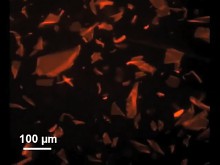 Papier aus Peptiden im Elektronenmikroskop