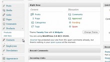 Wordpress 3.0 Thelonious