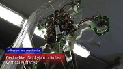 Stickybot klettert an Glasfl&auml;chen hoch