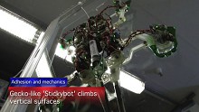Stickybot klettert an Glasflächen hoch