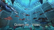 WebGL-Anwendungen in Mozilla Firefox
