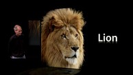 Steve Jobs stellt Mac OS X 10.7 alias Lion vor