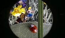 Dot - Kurzfilmeinreichung zum Viral Video Award 2010