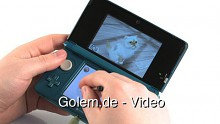 Nintendogs plus Cats - Gameplay vom Nintendo 3DS