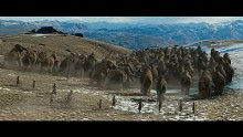 10,000 B.C. - Kinotrailer