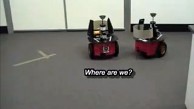 Lingodroids
