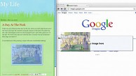 Google zeigt Suche mit Bildern