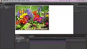 Adobe Edge Preview