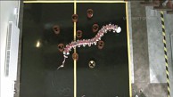 Roboterwurm windet sich durch Hindernisse