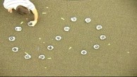 Roboter buchstabieren Grits