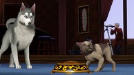 Die Sims 3 Einfach tierisch - Trailer (Gamescom 2011)