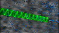 Nasa entwickelt Traktorstrahl