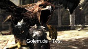 Der Herr der Ringe Der Krieg im Norden - Test