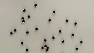 Kilobots - Roboter bewegen sich im Schwarm