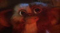 Gremlins - Filmtrailer