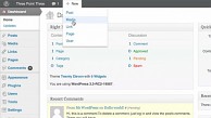 Wordpress 3.3 alias Sonny
