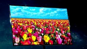 Samsung stellt Super-OLED-TV vor (CES 2012)