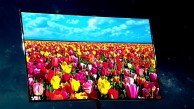 Samsung stellt Super-OLED-TV vor (CES 2012)