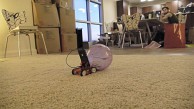 Romo macht aus dem Smartphone einen Roboter