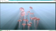 Siggraph 2012 - Trailer