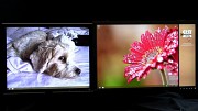 Mehrere Monitore nutzen unter Windows 8