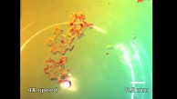 Blasenroboter mit Laserantrieb