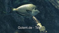 Depth Hunter - Der Speerfischen-Simulator - Test