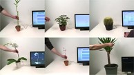 Disney Research erkl&auml;rt Botanicus Interacticus