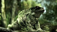 Crysis 3 - Trailer (Tech)