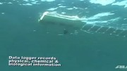 Tauchroboter Mola
