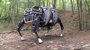 Alpha Dog - Boston Dynamics