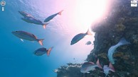 Street View unter Wasser