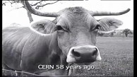 R&uuml;ckblick zum 58. Geburtstag des Cern