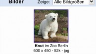 Google - Trailer (Verteidige Dein Netz)