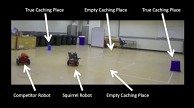 Roboter t&auml;uscht Roboter