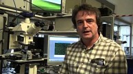 F&auml;lschungssichere Nano-Markierungen von IBM