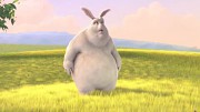 Big Buck Bunny - Trailer