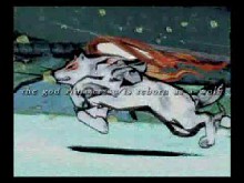 Okami