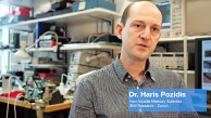 IBM Research erklärt Phase Change Memory mit TLCs