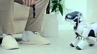 Sony Aibo ERS-7 (Herstellervideo)